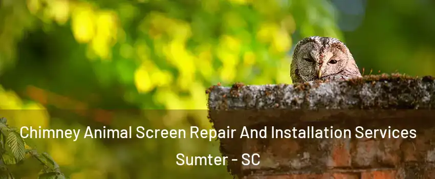  Chimney Animal Screen Repair And Installation Services Sumter - SC