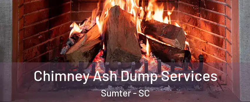  Chimney Ash Dump Services Sumter - SC