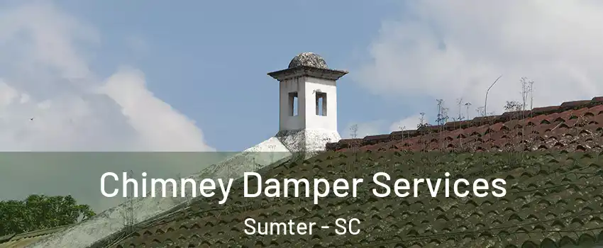  Chimney Damper Services Sumter - SC