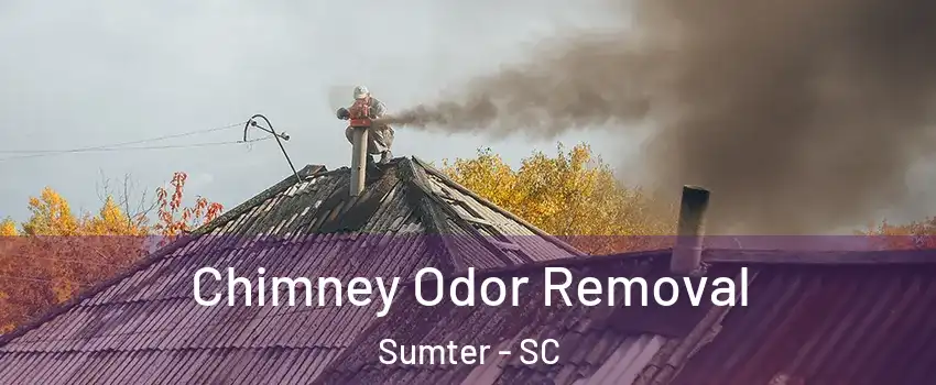  Chimney Odor Removal Sumter - SC