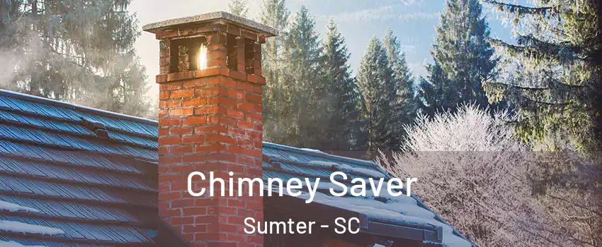  Chimney Saver Sumter - SC