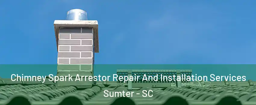  Chimney Spark Arrestor Repair And Installation Services Sumter - SC