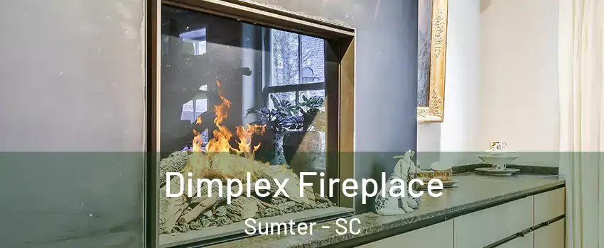  Dimplex Fireplace Sumter - SC