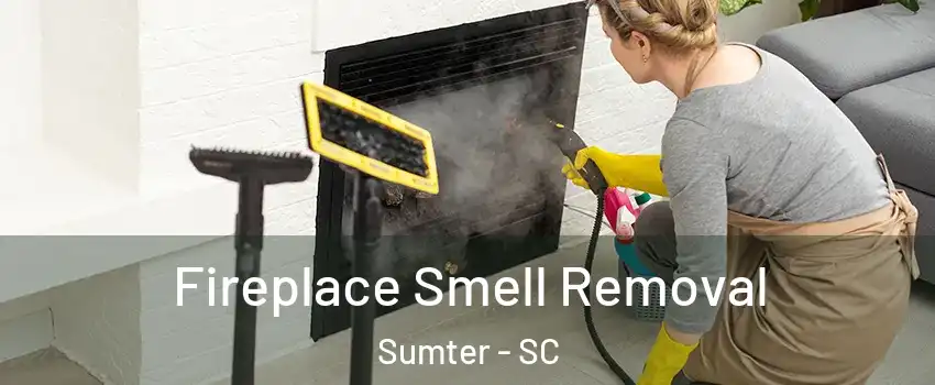  Fireplace Smell Removal Sumter - SC