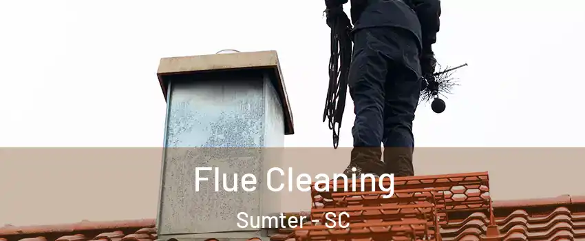  Flue Cleaning Sumter - SC