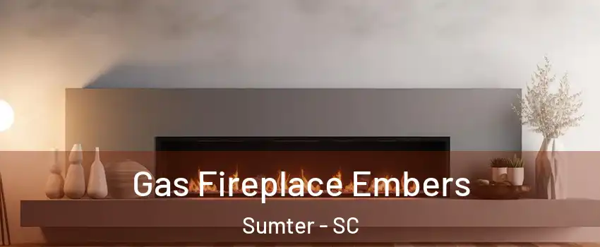  Gas Fireplace Embers Sumter - SC