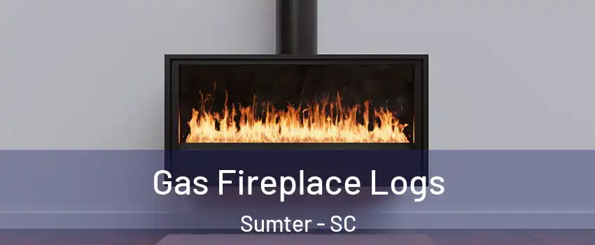  Gas Fireplace Logs Sumter - SC