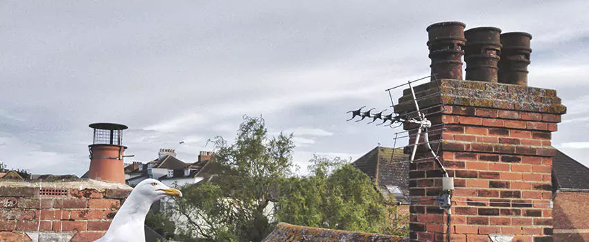 Chimney Cleaning And Restoration in Sumter, South Carolina