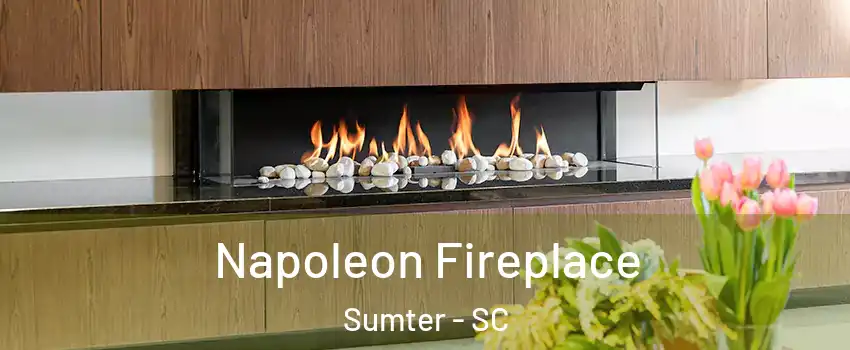  Napoleon Fireplace Sumter - SC