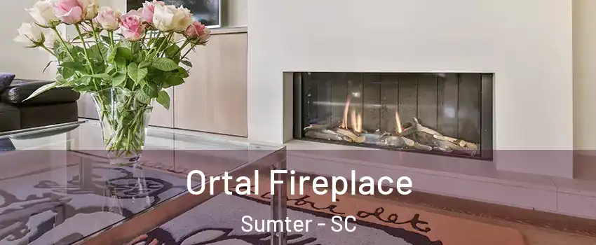 Ortal Fireplace Sumter - SC